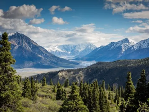 Mountain peaks and trees beneath a blue sky